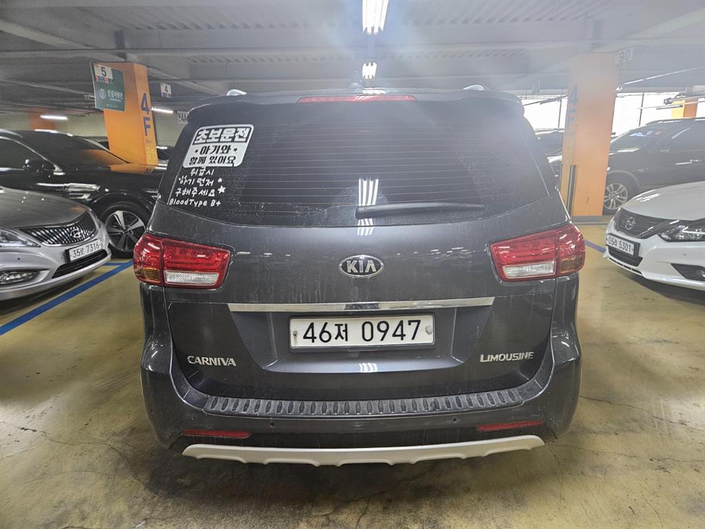 KIA Carnival - Vista 4