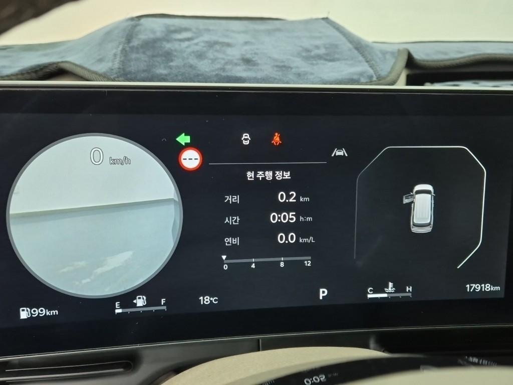 KIA Carnival - Vista 8