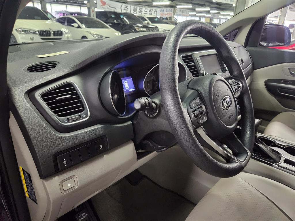 KIA Carnival - Vista 8