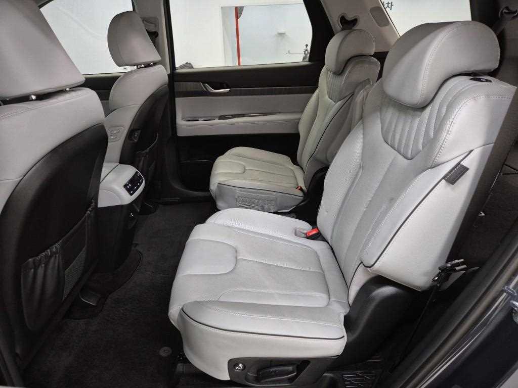 HYUNDAI Palisade - Vista 12
