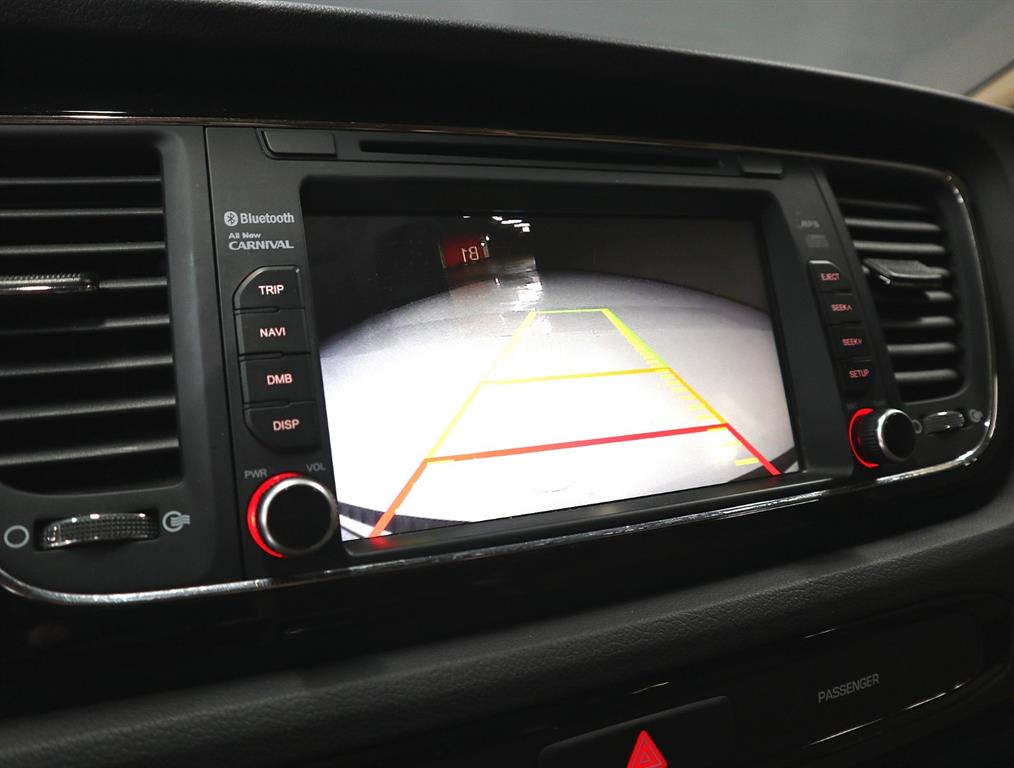 KIA Carnival - Vista 12