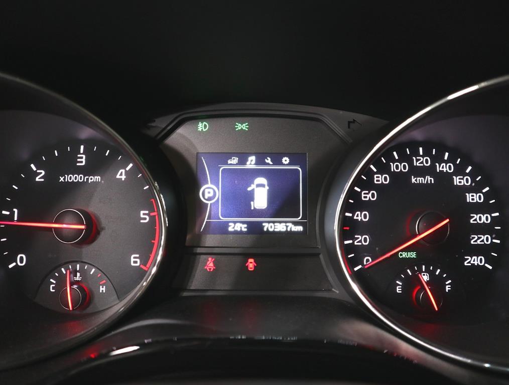 KIA Carnival - Vista 7