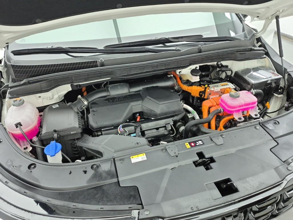 KIA Carnival - Vista 6