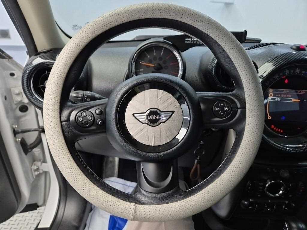 Mini Countryman - Vista 9
