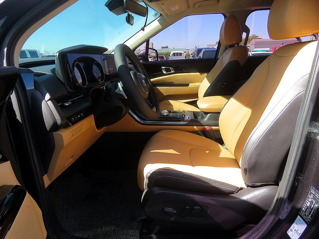 KIA Carnival - Vista 7