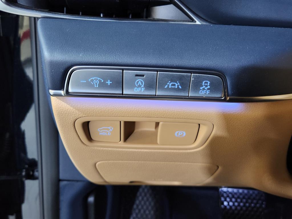Genesis GV80 - Vista 11