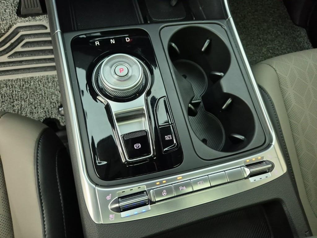 KIA Carnival - Vista 8