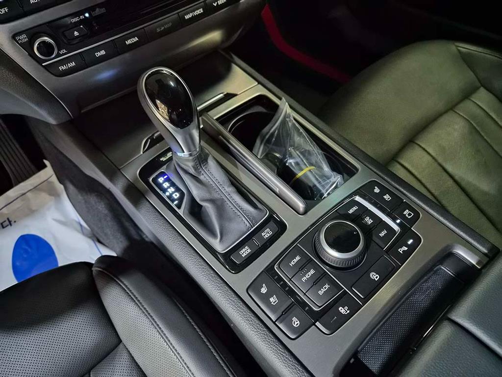 HYUNDAI Genesis - Vista 12
