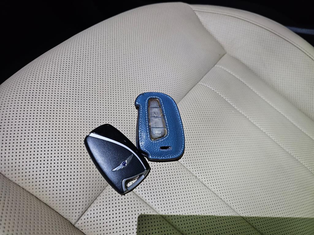 HYUNDAI Genesis - Vista 10