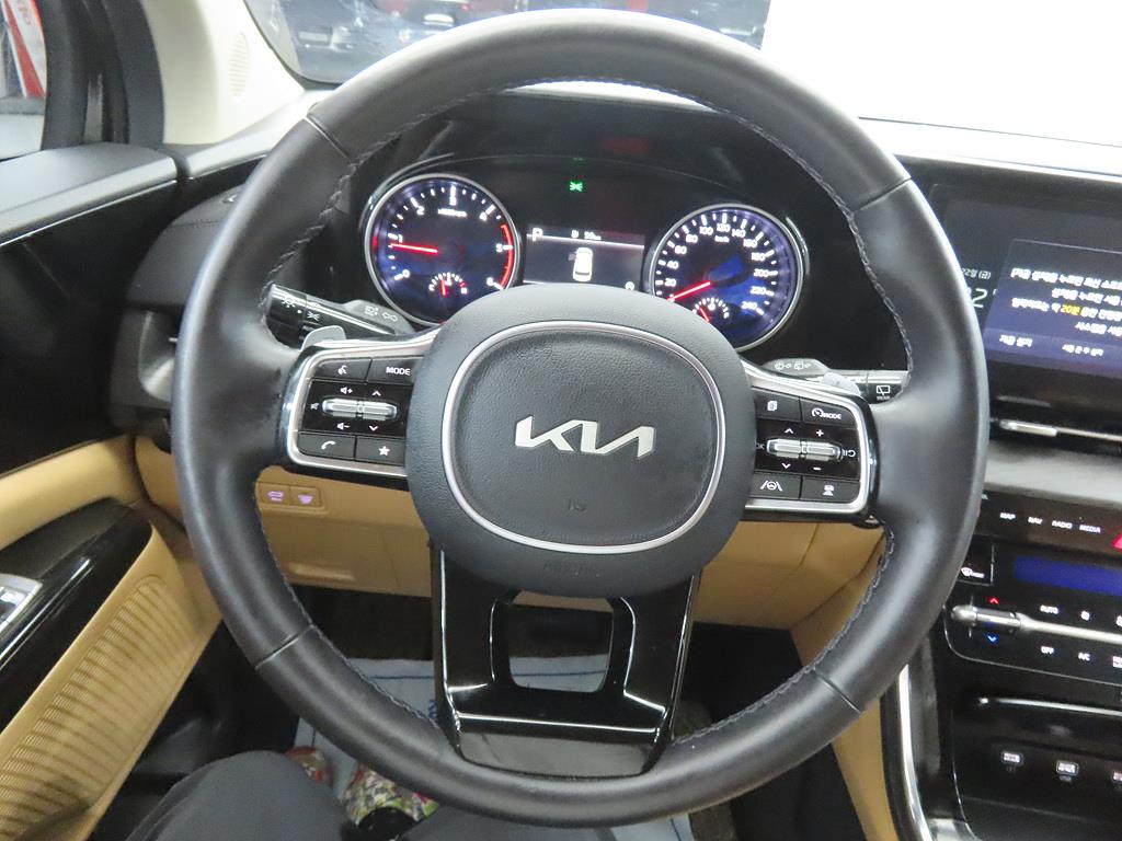 KIA Carnival - Vista 8