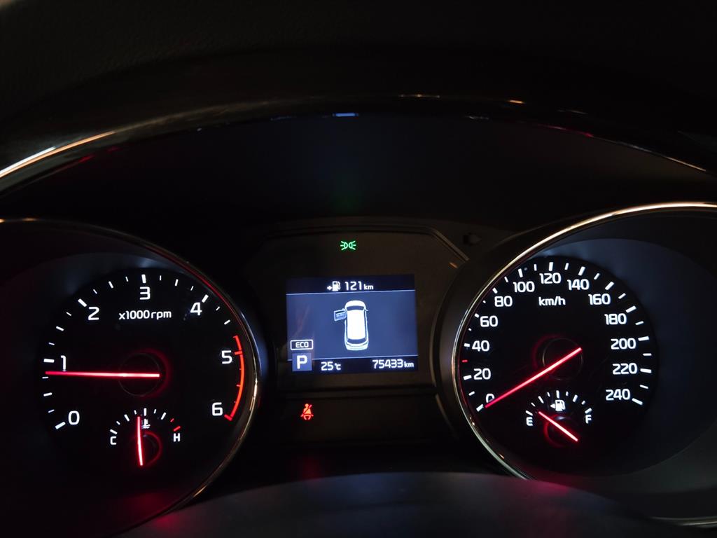 KIA Carnival - Vista 9