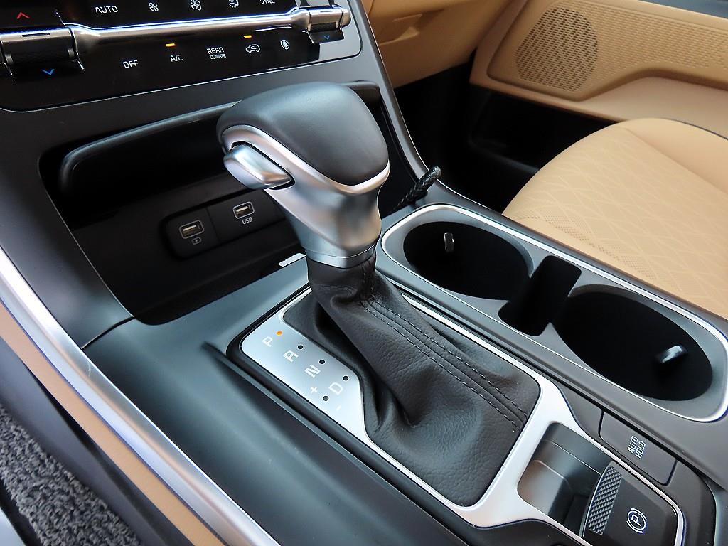 KIA Carnival - Vista 12