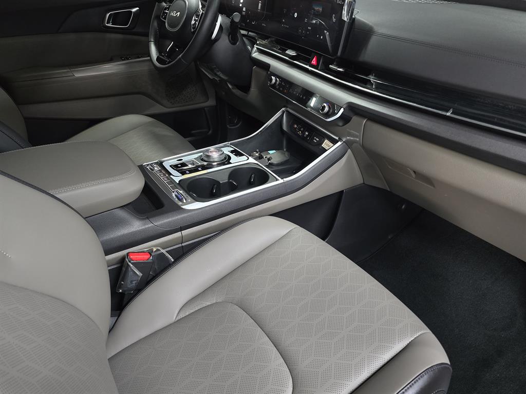 KIA Carnival - Vista 9