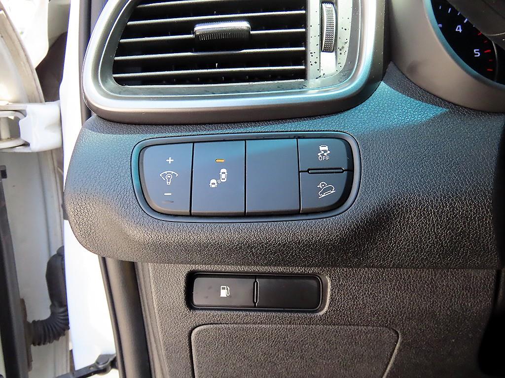 KIA Sorento - Vista 12