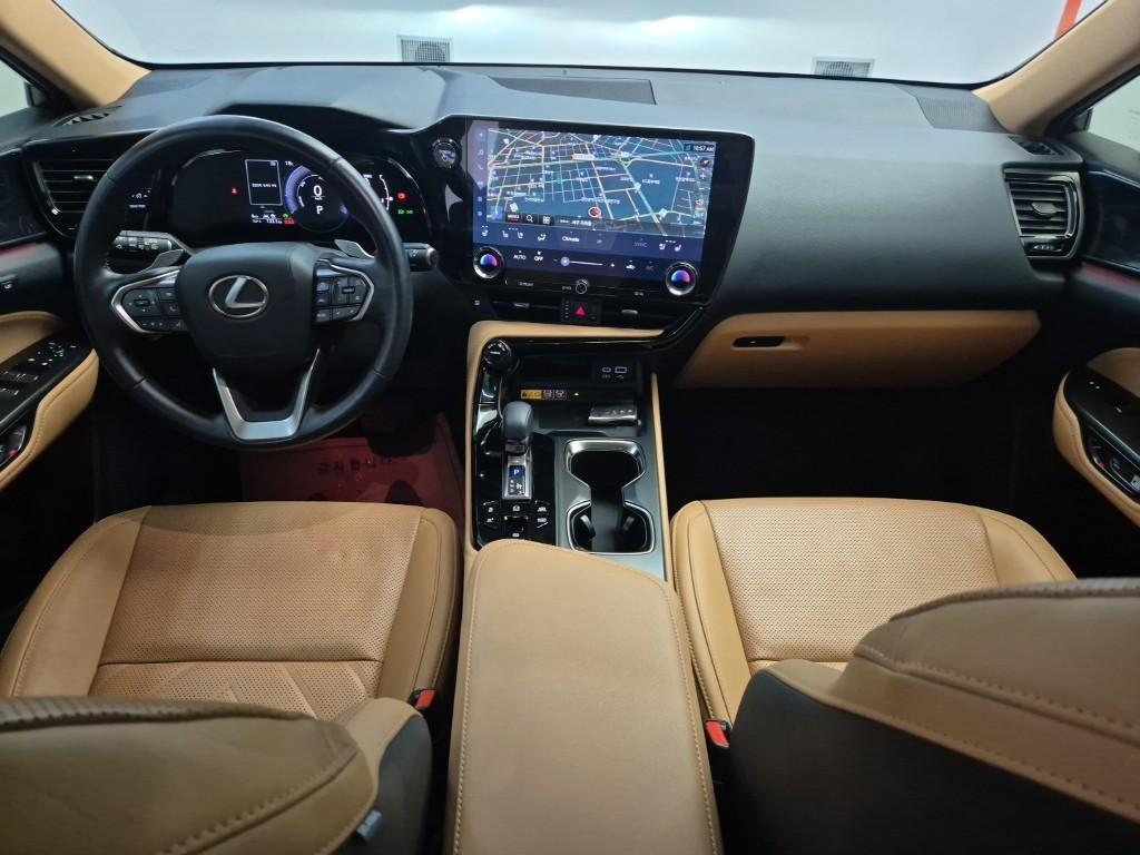 Lexus NX - Vista 5