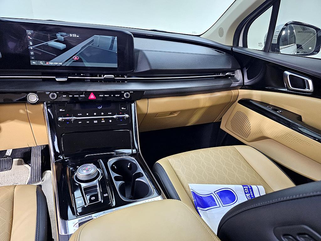 KIA Carnival - Vista 10