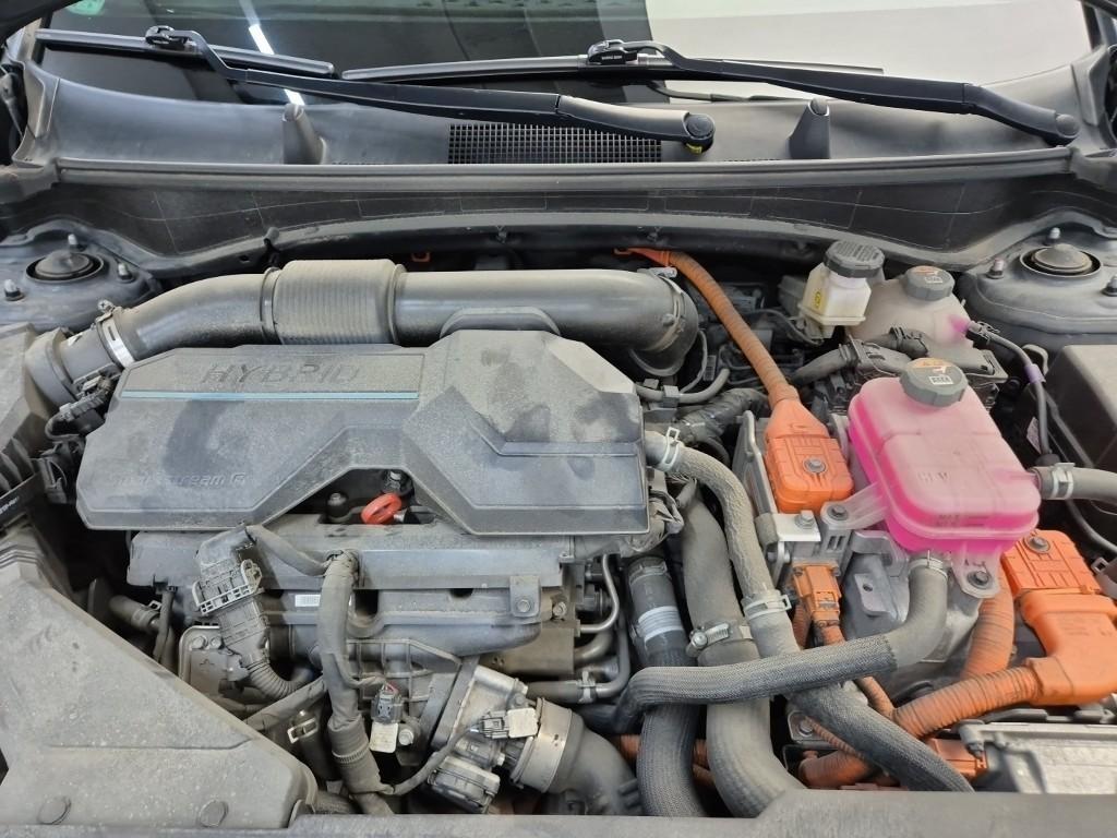 KIA Sportage - Vista 5
