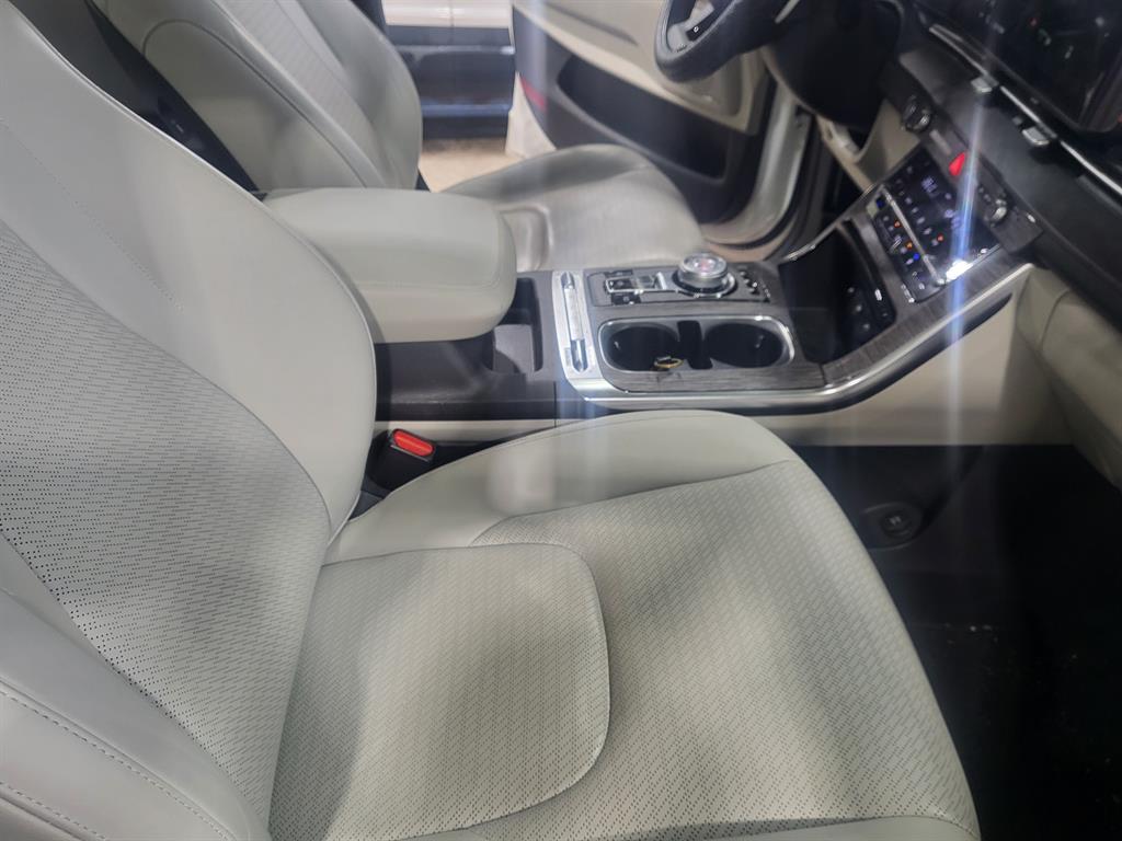 KIA Carnival - Vista 7