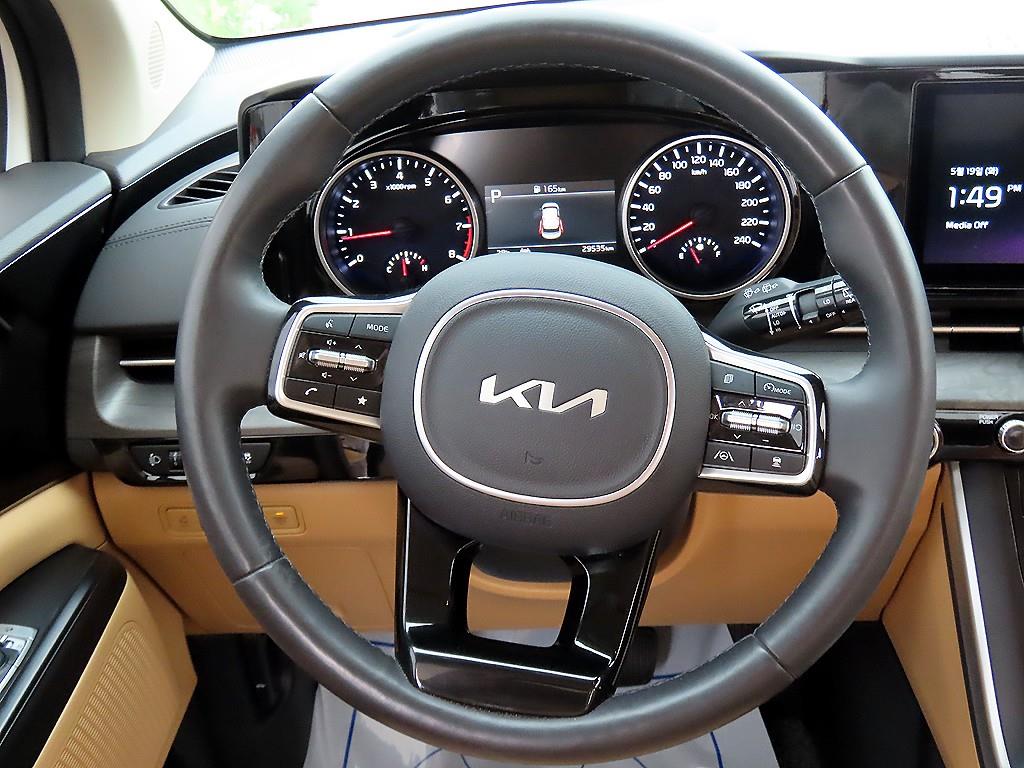 KIA Carnival - Vista 8