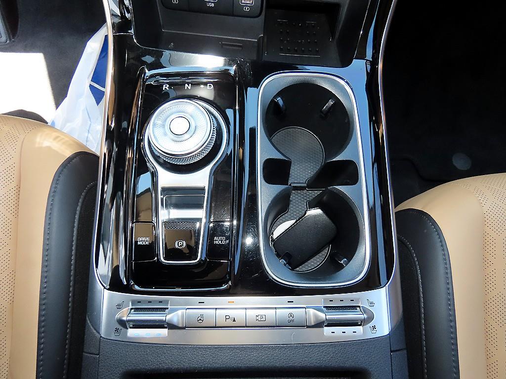 KIA Carnival - Vista 10