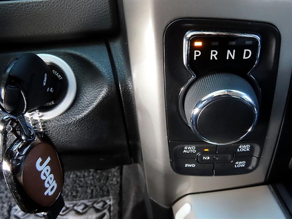 DODGE Rampic Up - Vista 10