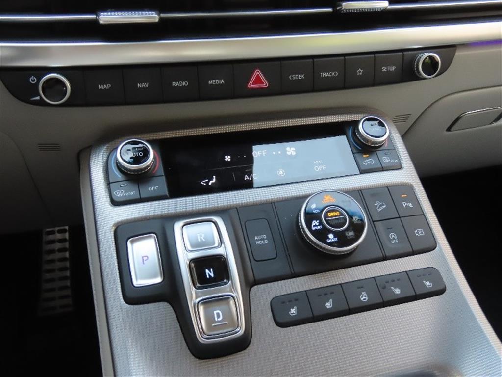 HYUNDAI Palisade - Vista 11