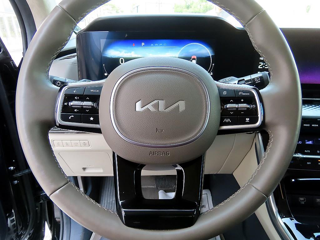 KIA Carnival - Vista 8