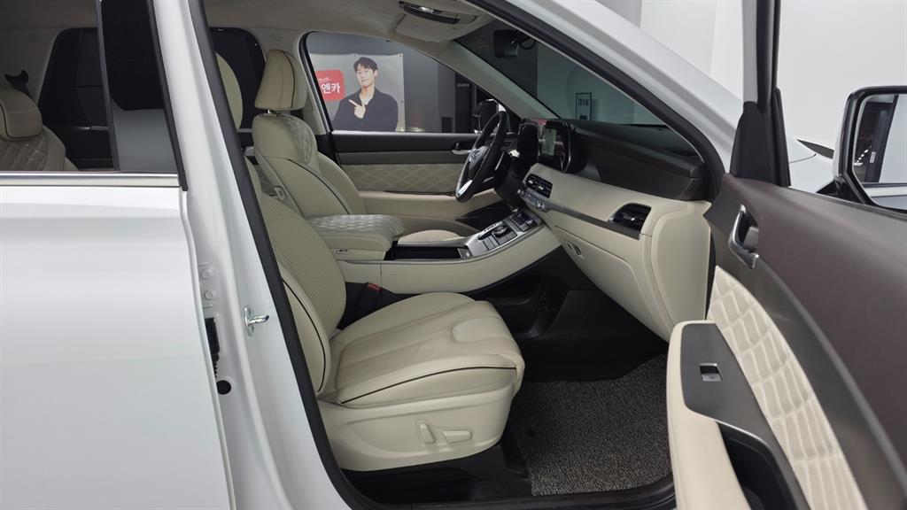 HYUNDAI Palisade - Vista 10
