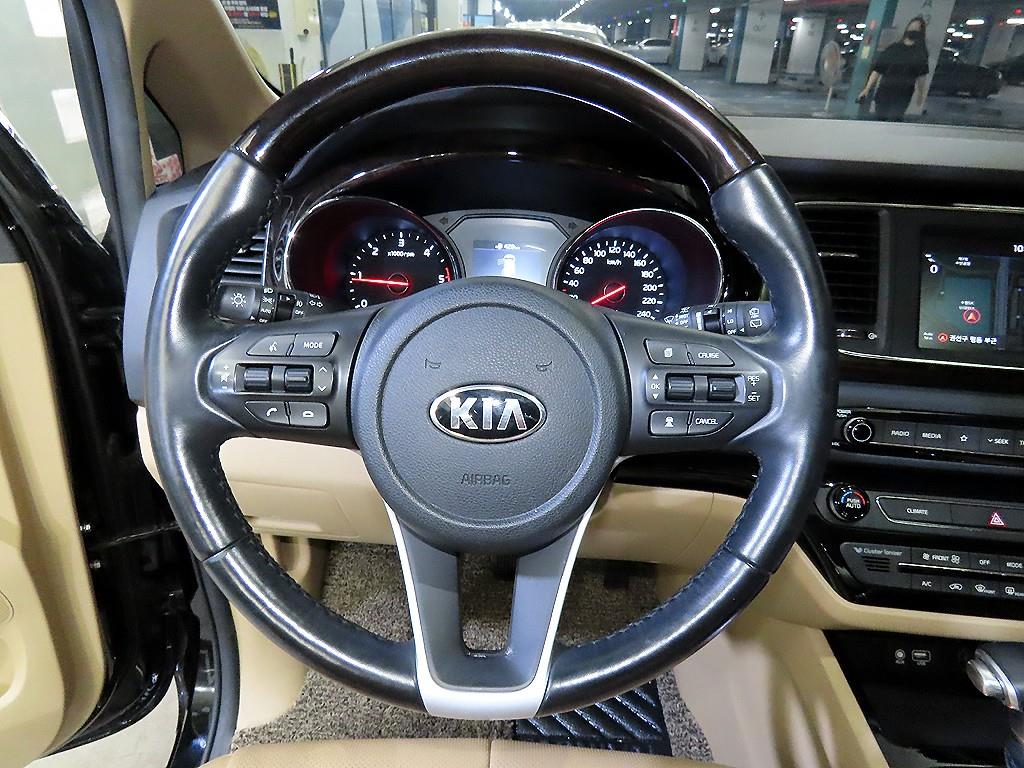 KIA Carnival - Vista 8