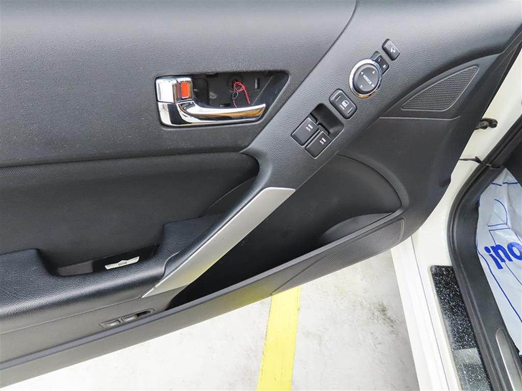 HYUNDAI Genesis - Vista 12