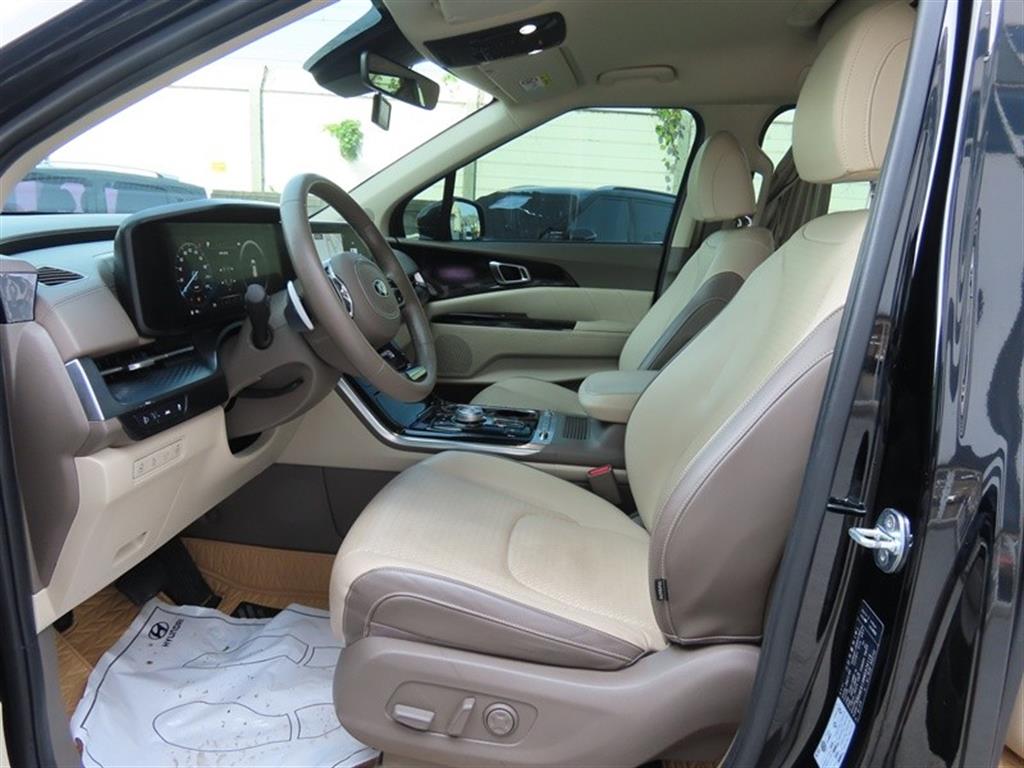 KIA Carnival - Vista 11
