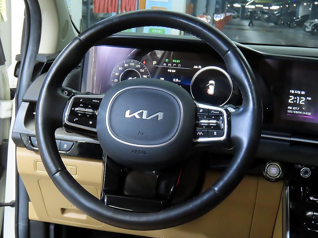 KIA Carnival - Vista 8