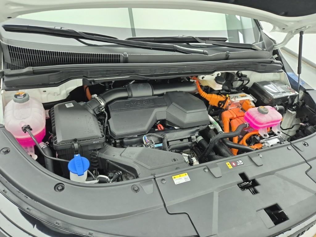 KIA Carnival - Vista 6