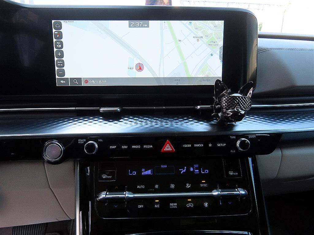 KIA Carnival - Vista 11