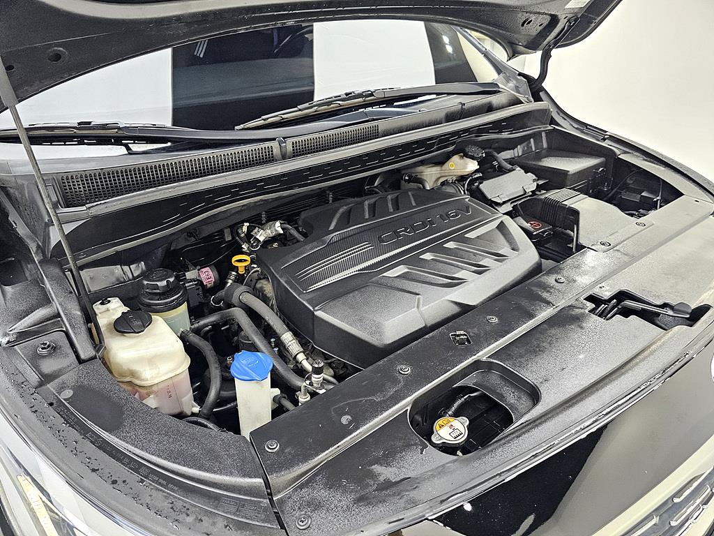 KIA Carnival - Vista 6