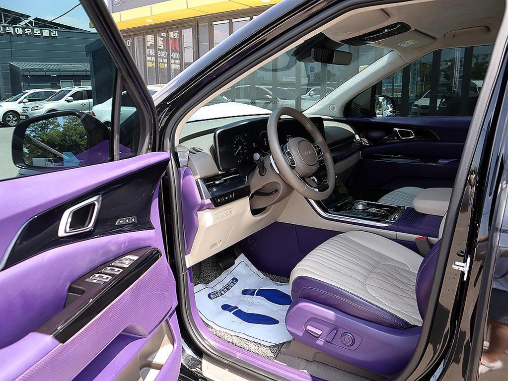 KIA Carnival - Vista 11
