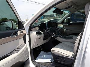HYUNDAI Palisade - Vista 12