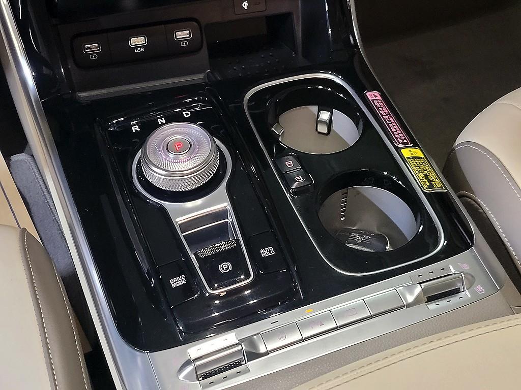 KIA Carnival - Vista 12