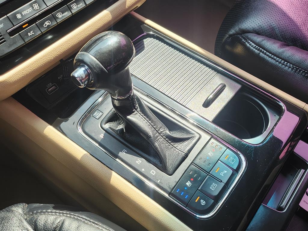 KIA Carnival - Vista 12