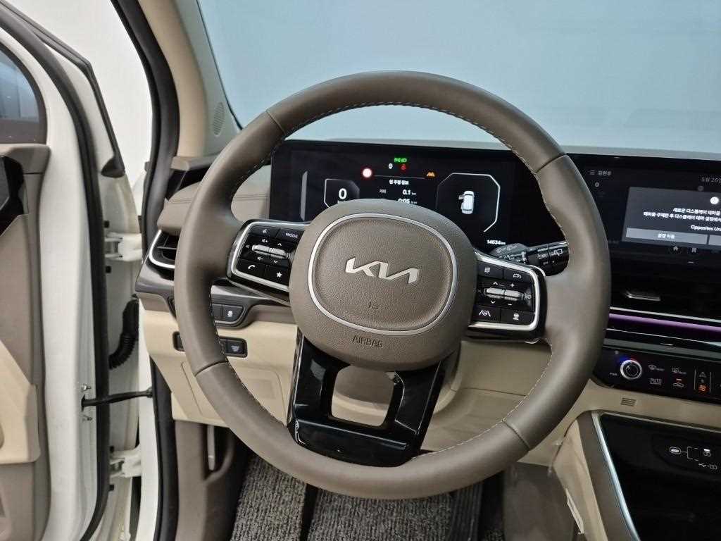 KIA Carnival - Vista 9