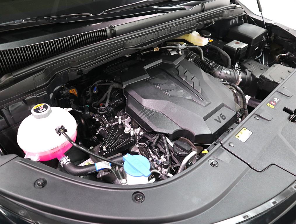 KIA Carnival - Vista 6