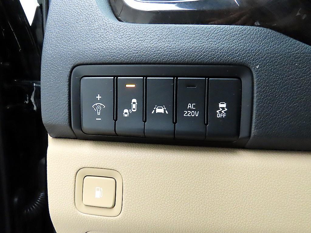KIA Carnival - Vista 12