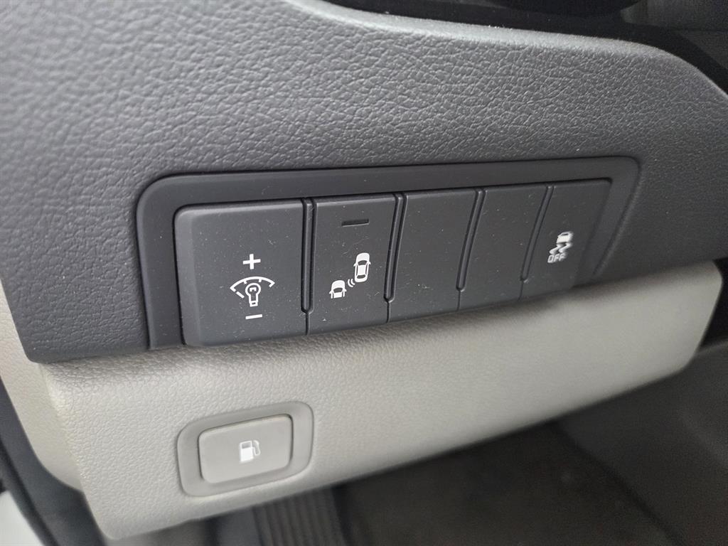 KIA Carnival - Vista 6