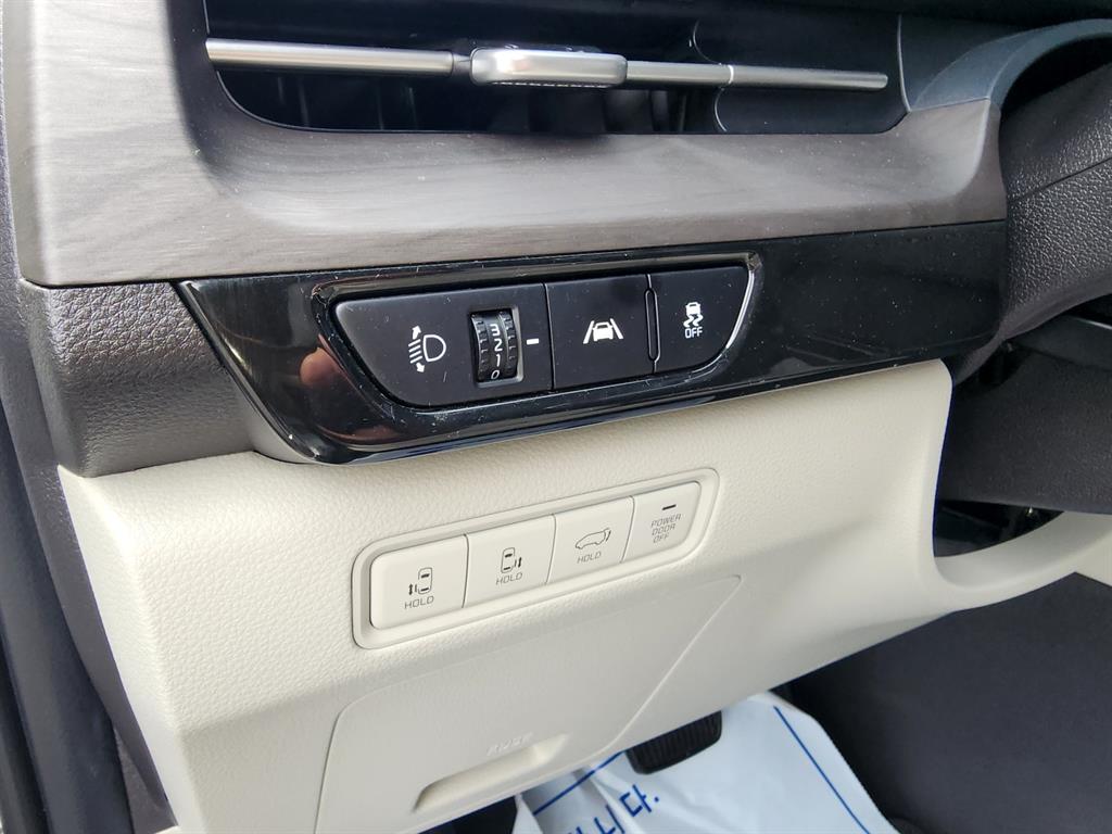 KIA Carnival - Vista 7