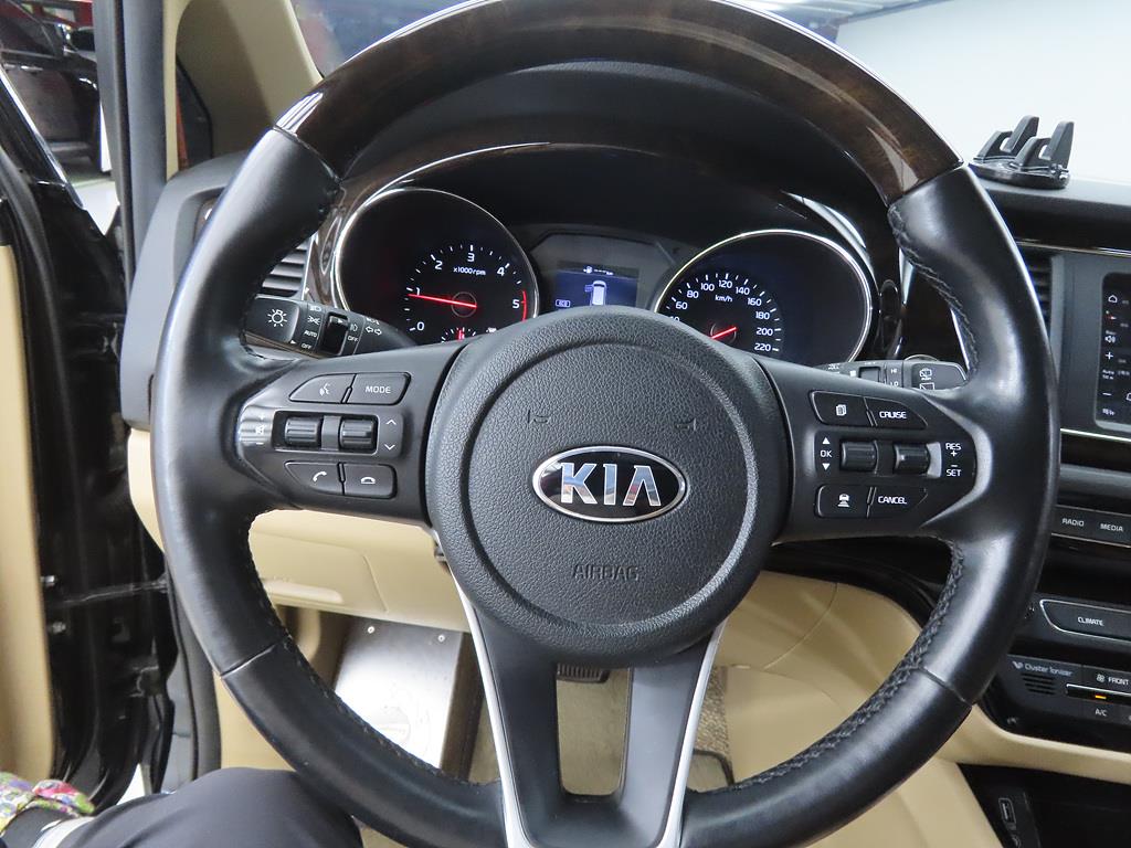 KIA Carnival - Vista 8