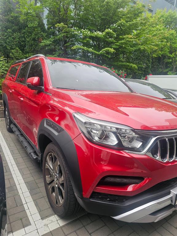 Ssangyong Rexton - Vista 2