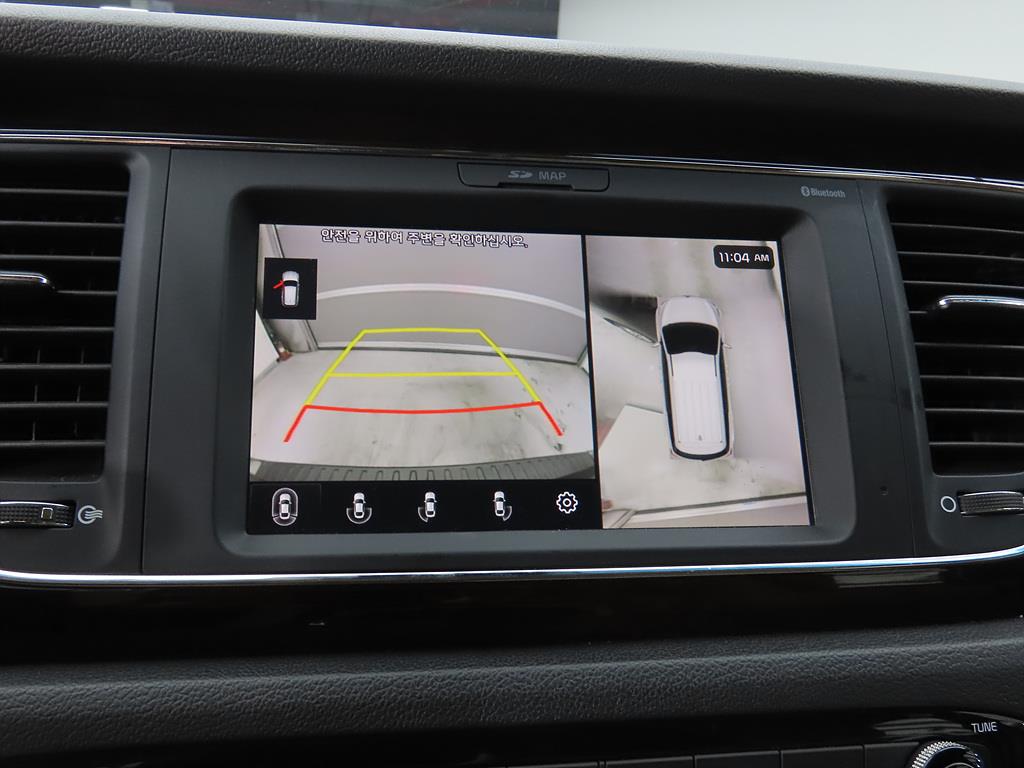 KIA Carnival - Vista 12