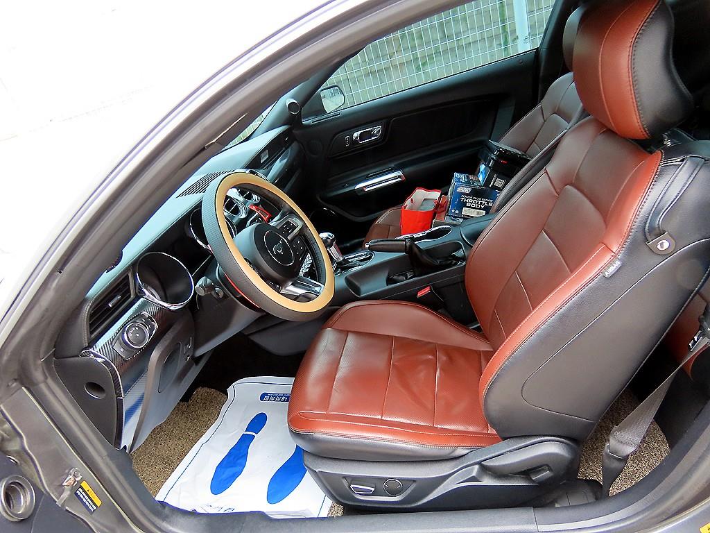 Ford Mustang - Vista 5
