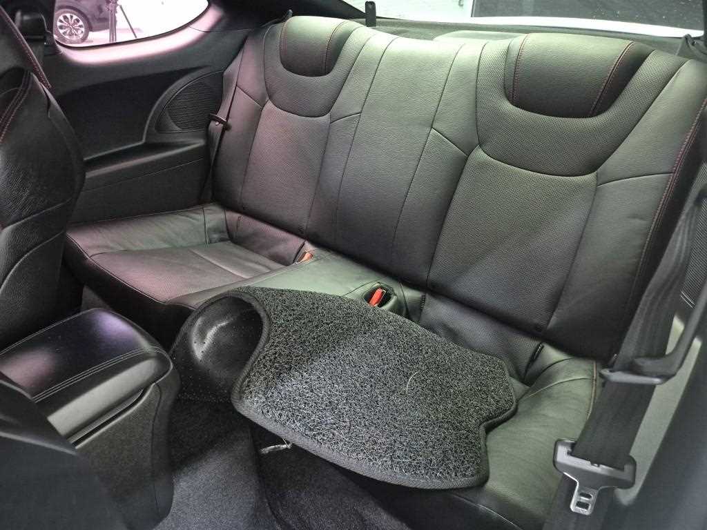 HYUNDAI Genesis - Vista 12