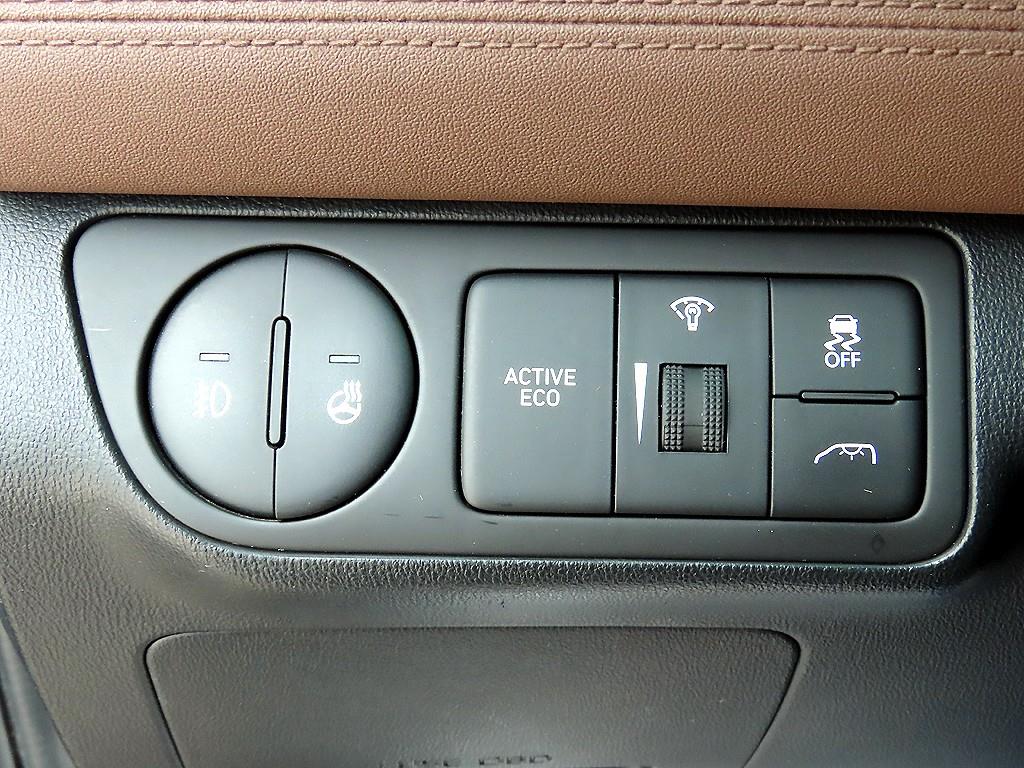 HYUNDAI Starex - Vista 12